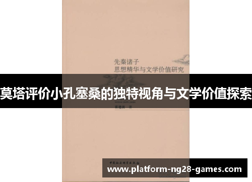 莫塔评价小孔塞桑的独特视角与文学价值探索